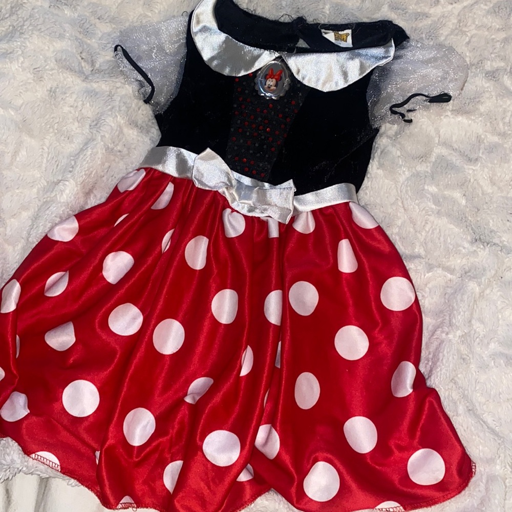 Disney Minnie costume